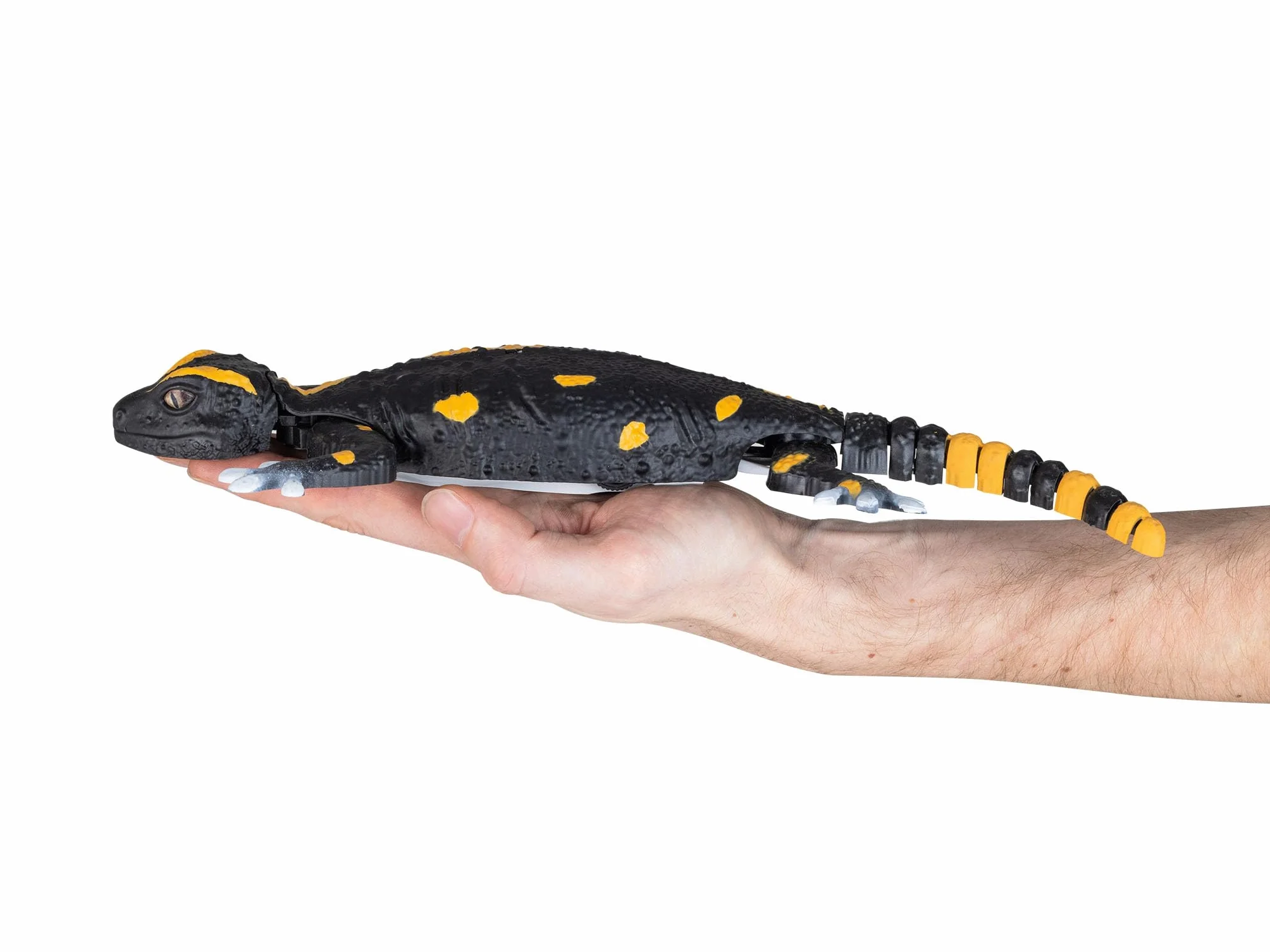 Revell Control Robo Friends RC Salamander, con modalità di arrampicata e corsa a pavimento, con controllo a infrarossi e potente batteria agli ioni di litio