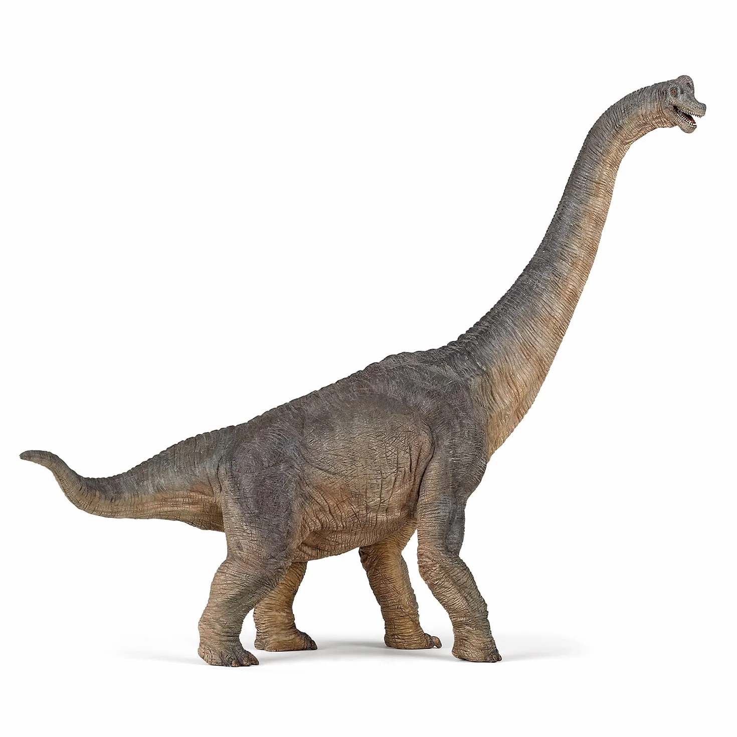 Papo - Statuina Brachiosauro Realistica - Collezione Dinosauri - Dipinta a mano - Dimensioni 36 x 9 x 31 cm - Giocattolo per bambini - Sviluppa l’immaginazione - Idea regalo Gioco Educativo