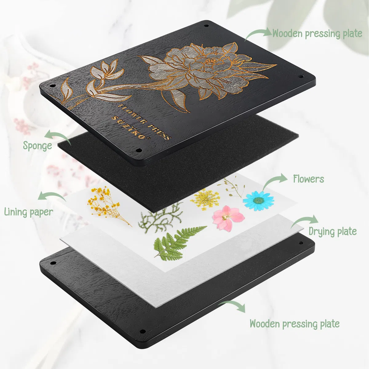 Suziko Grande Pressa per Fiori con Cornice Fotografica, Kit per la Pressatura dei Fiori per Adulti - Misure 30 x 22 cm - Kit per la Pressatura dei a 6 Strati per Adulti e Bambini