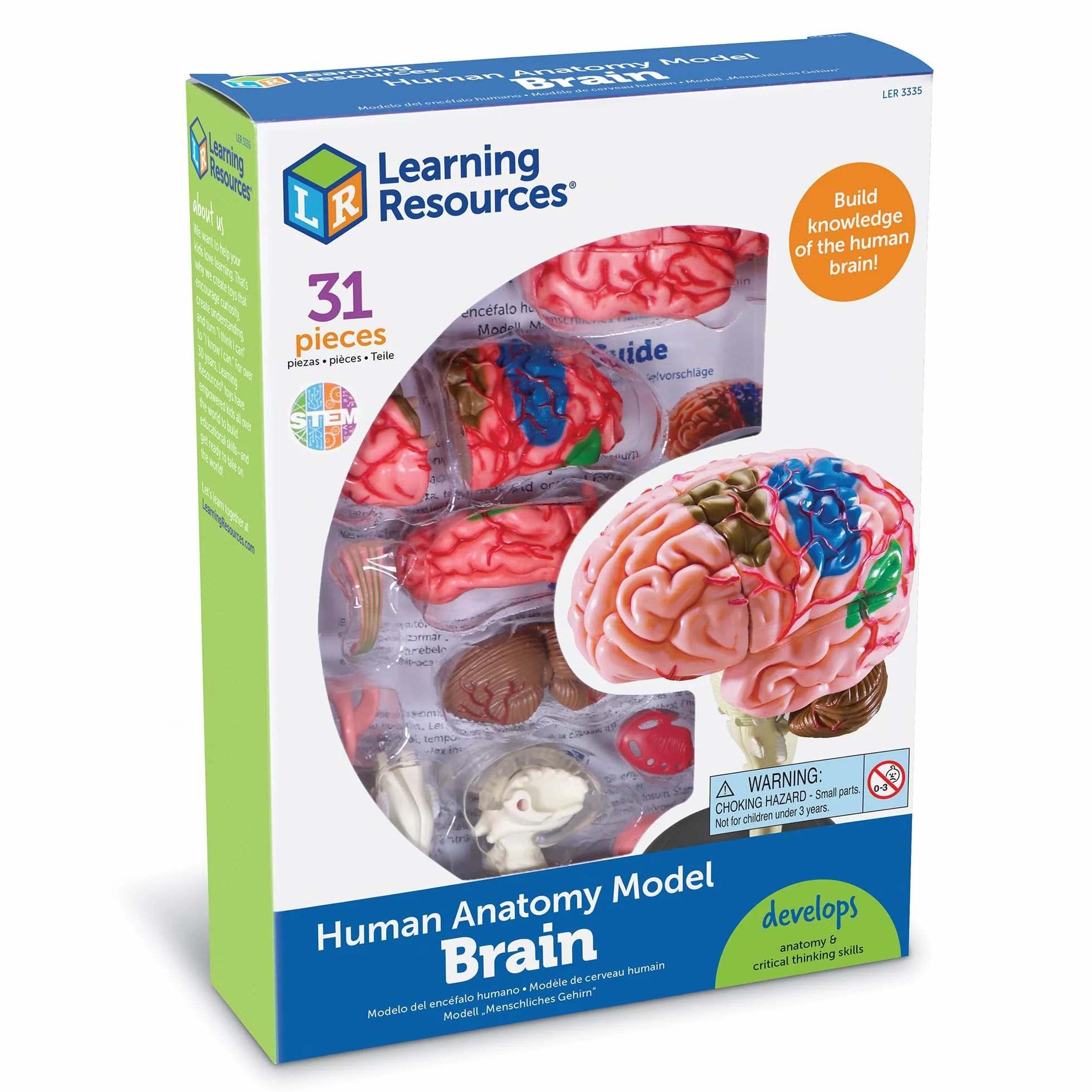 Learning Resources Modello Anatomico Cervello Umano, Miniatura Realistica da 10 cm, Set 31 Pezzi con Supporto e Guida Illustrata, Gioco Educativo 8+ Anni