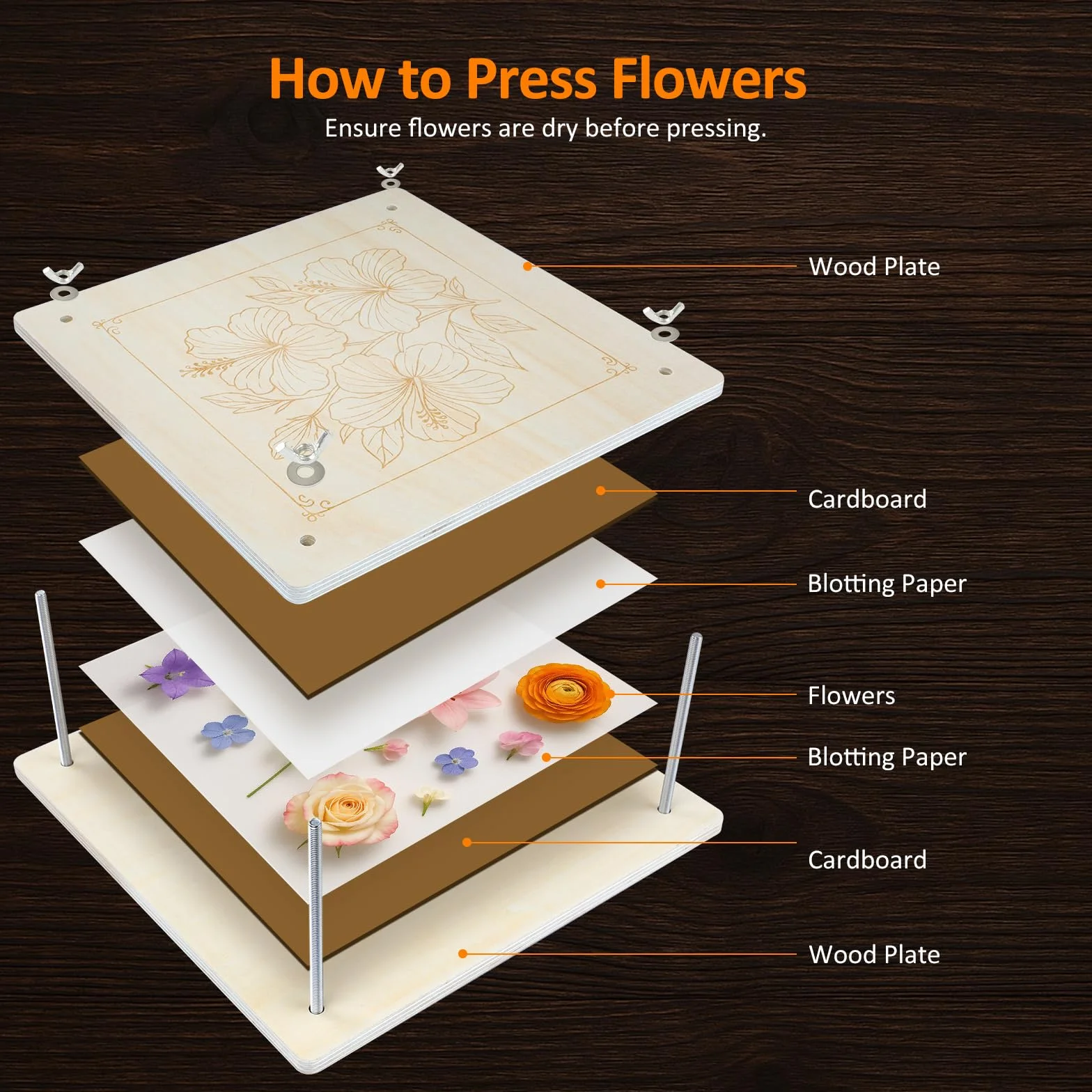 Kit di pressa per fiori in legno per piante - 27,5 x 27,5 cm - Kit fai da te per pressare e asciugare fiori e piante - Riutilizzabile - Per adulti e bambini - Per gli amanti della
