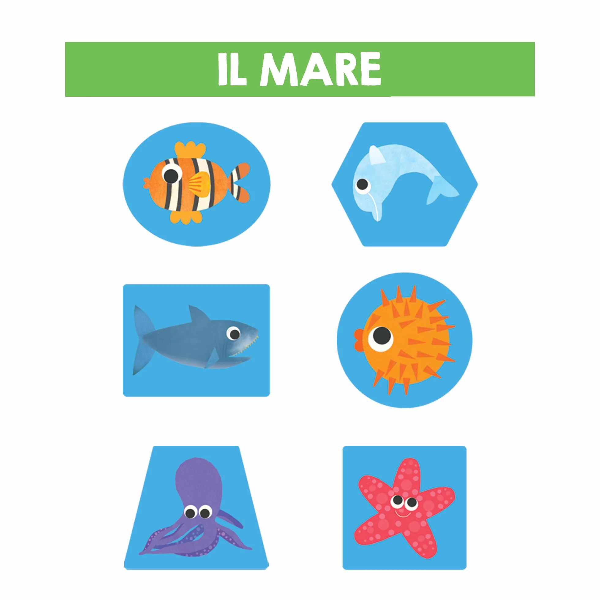 HEADU - Laboratorio Manine Attive Montessori - Con 24 Forme Tattili Degli Animali | Giochi Educativi 1 2 3 Anni, Gioco Montessori, Giochi Tattili Bambini, Regalo Bambino Piccolo, Regalo bambina 2 anni
