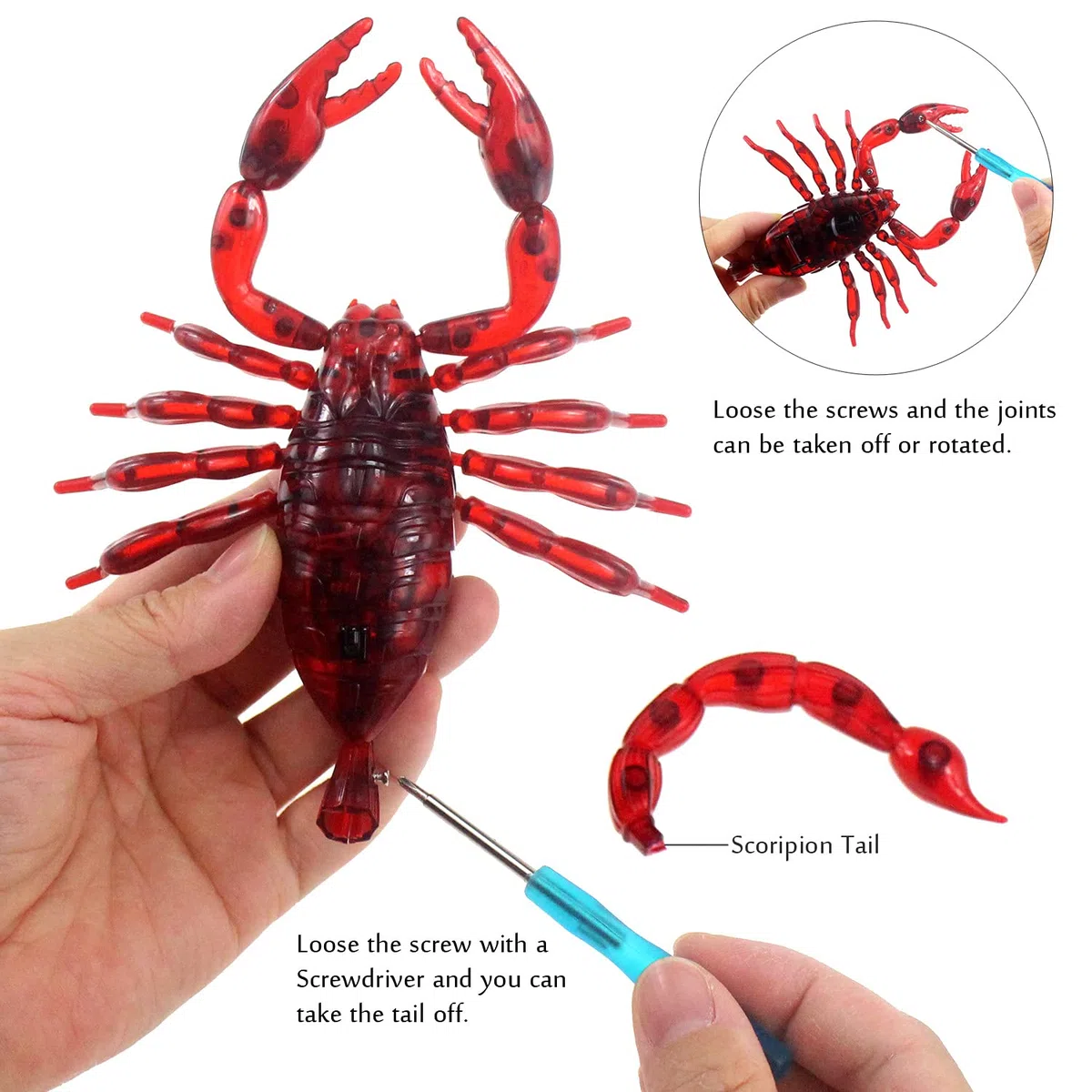 Scorpione radiocomandato realistico con telecomando a forma di animale, elettronico, giocattolo spaventoso per Halloween, regalo di compleanno per bambini (rosso)