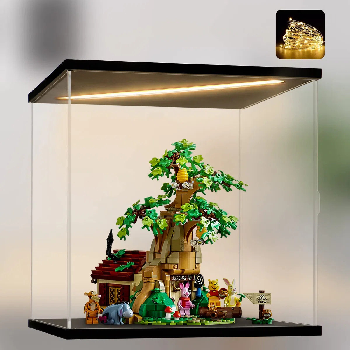 Vetrina in Acrilico Trasparente con Luce a Led,Vetrina Espositiva per Modellismo,Display Case Box per il Collezionismo di Action Figure e Oggetti da Collezione(30x25x30cm)