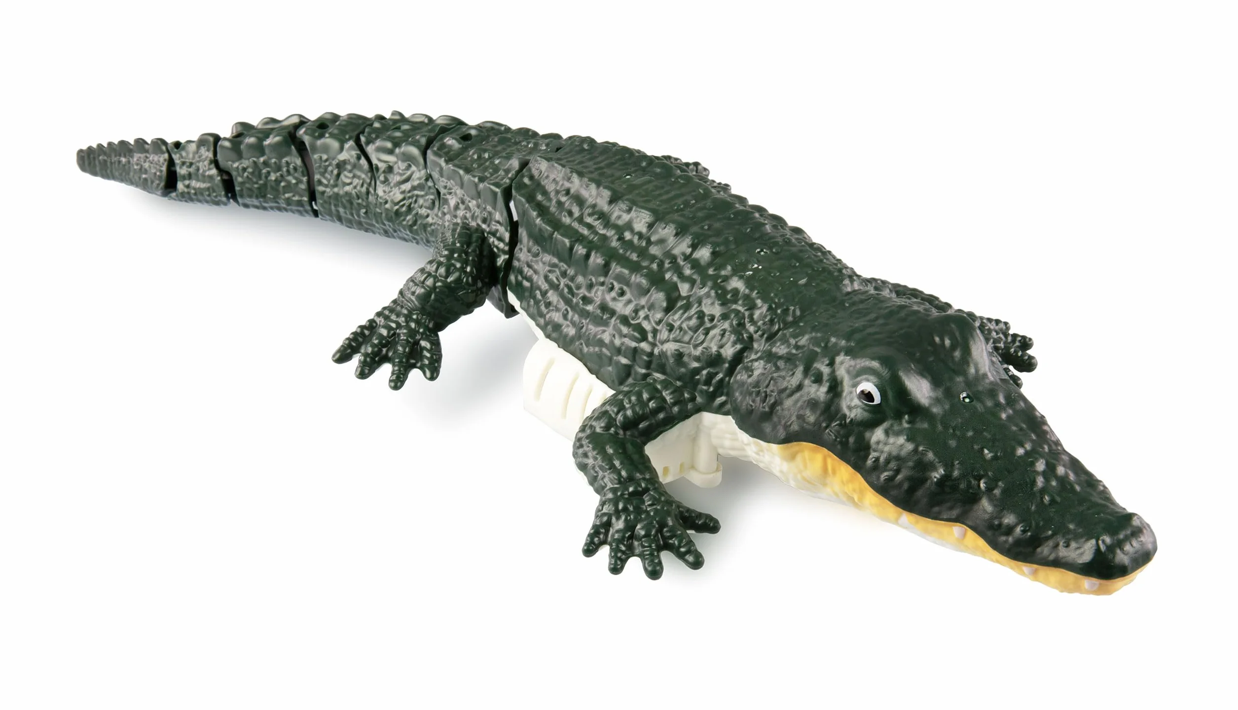 Amewi Croco il piccolo coccodrillo 370 mm 4 canali RC telecomandato RTR, verde