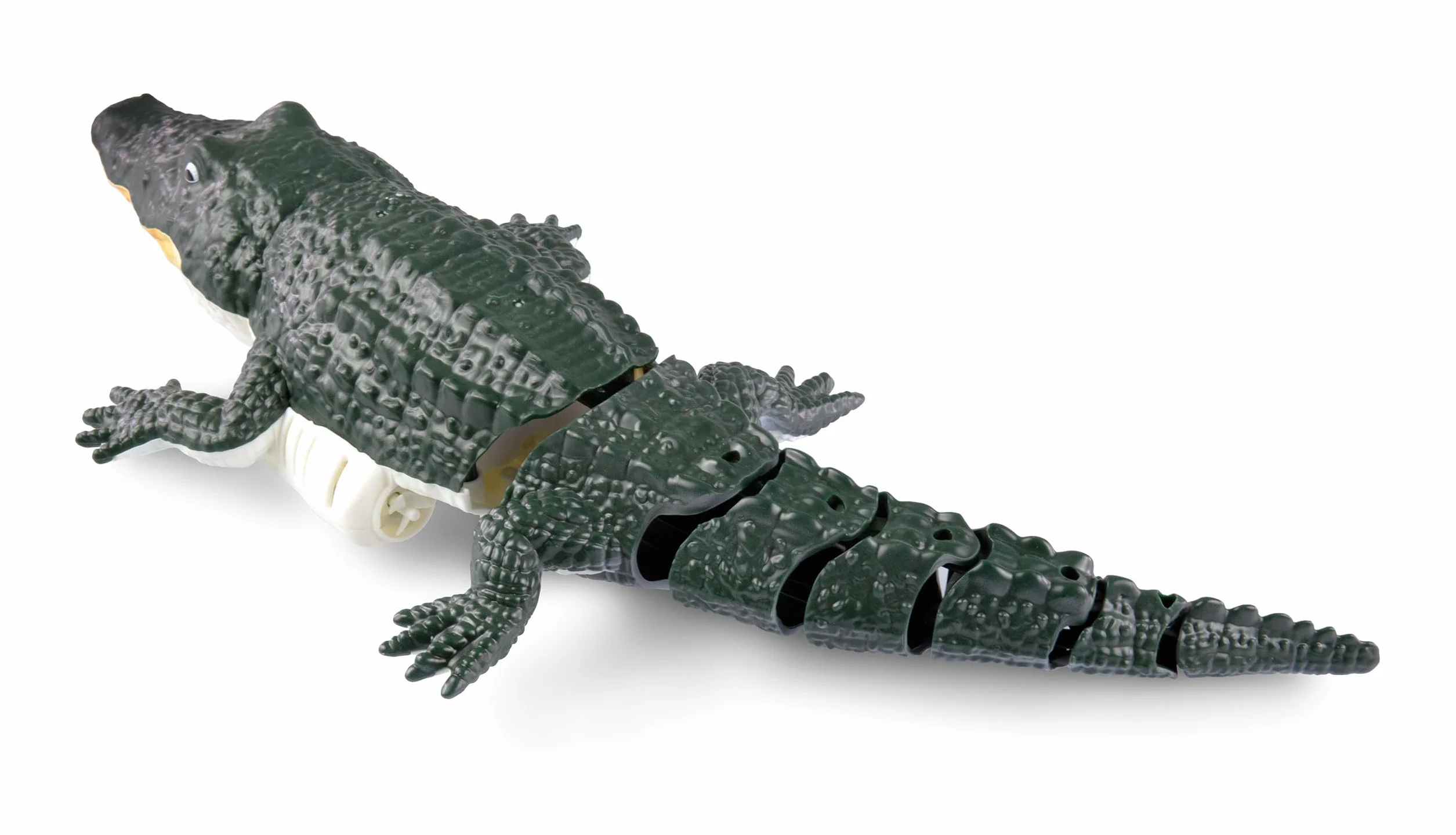 Amewi Croco il piccolo coccodrillo 370 mm 4 canali RC telecomandato RTR, verde