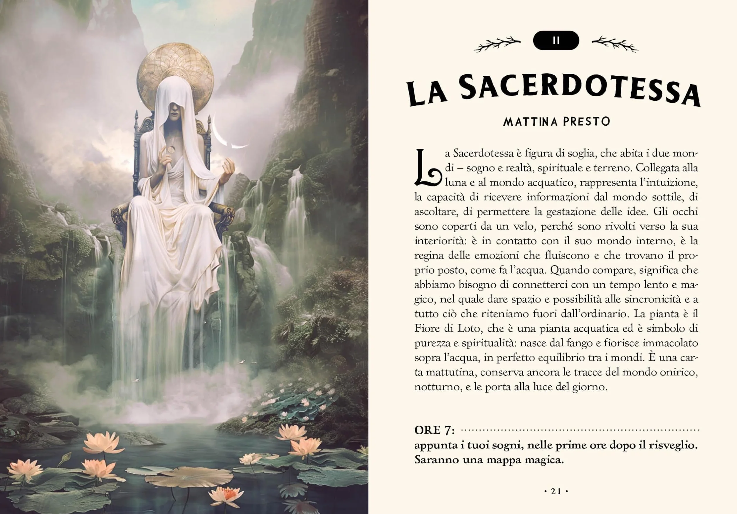 I tarocchi della foresta. Ediz. a colori. Con 78 Carte