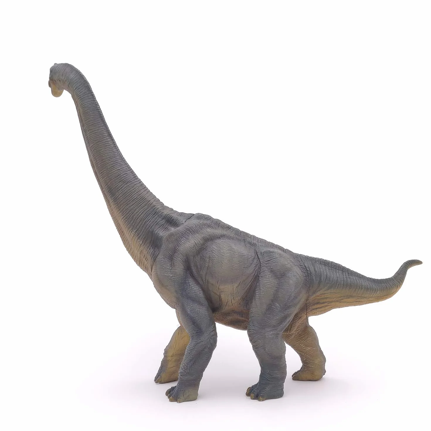 Papo - Statuina Brachiosauro Realistica - Collezione Dinosauri - Dipinta a mano - Dimensioni 36 x 9 x 31 cm - Giocattolo per bambini - Sviluppa l’immaginazione - Idea regalo Gioco Educativo