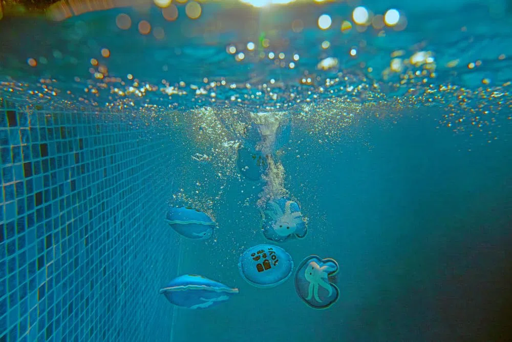BS Toys Diving Memo - Animali Riempiti di Sabbia - Neoprene - Adatto per Bambini dai 6 Anni - Gioco di Memoria - Gioco in Piscina - Gioco da Viaggio - Giocattoli per Piscina - 12 pezzi