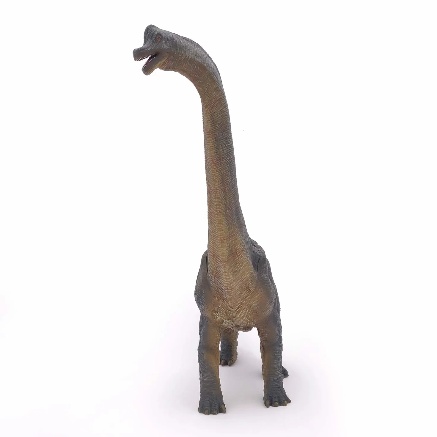 Papo - Statuina Brachiosauro Realistica - Collezione Dinosauri - Dipinta a mano - Dimensioni 36 x 9 x 31 cm - Giocattolo per bambini - Sviluppa l’immaginazione - Idea regalo Gioco Educativo