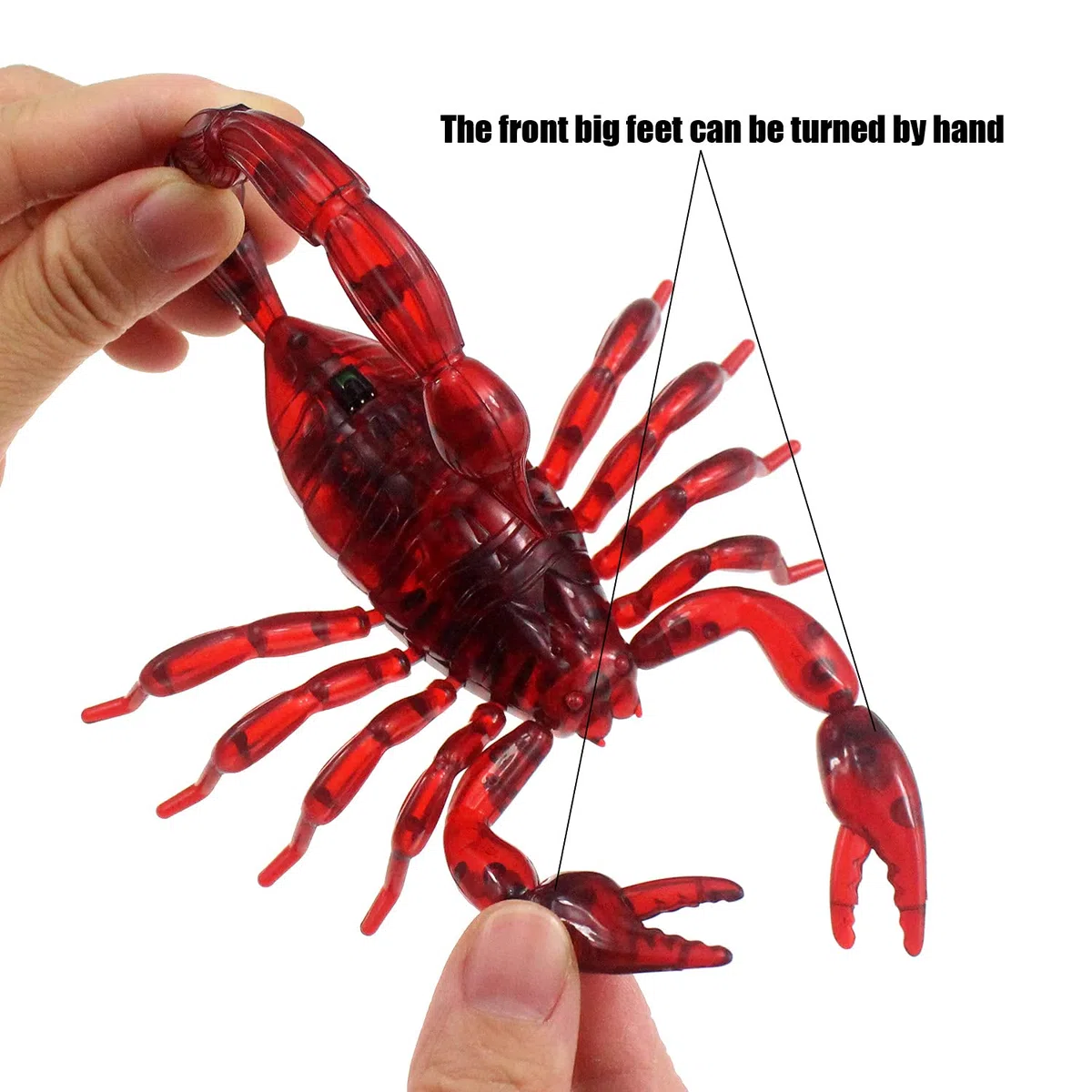Scorpione radiocomandato realistico con telecomando a forma di animale, elettronico, giocattolo spaventoso per Halloween, regalo di compleanno per bambini (rosso)