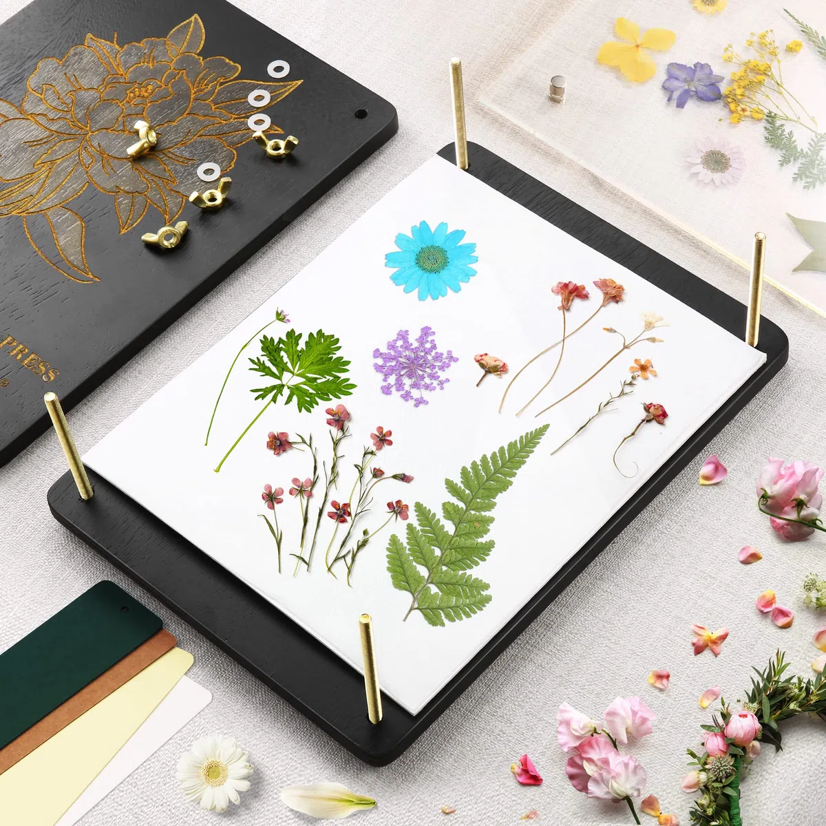 Suziko Grande Pressa per Fiori con Cornice Fotografica, Kit per la Pressatura dei Fiori per Adulti - Misure 30 x 22 cm - Kit per la Pressatura dei a 6 Strati per Adulti e Bambini