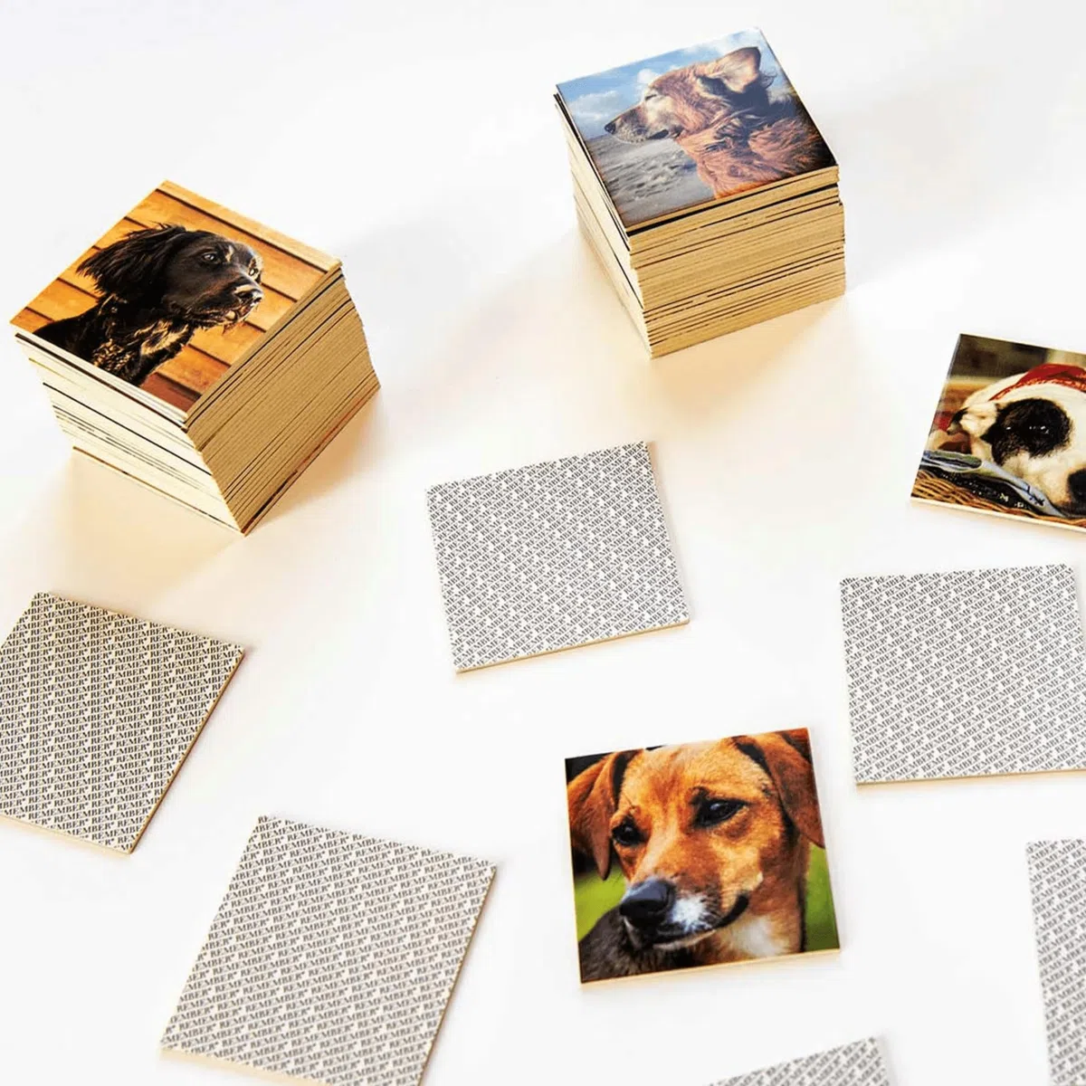 Remember DG44 - Gioco di memoria per cani – 44 coppie di immagini per amici (88 carte)