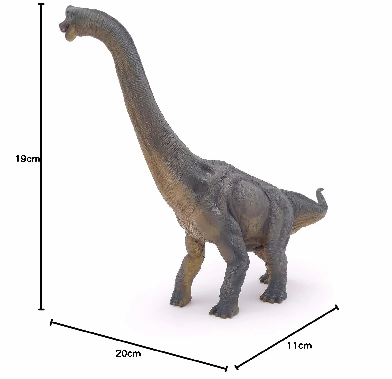 Papo - Statuina Brachiosauro Realistica - Collezione Dinosauri - Dipinta a mano - Dimensioni 36 x 9 x 31 cm - Giocattolo per bambini - Sviluppa l’immaginazione - Idea regalo Gioco Educativo