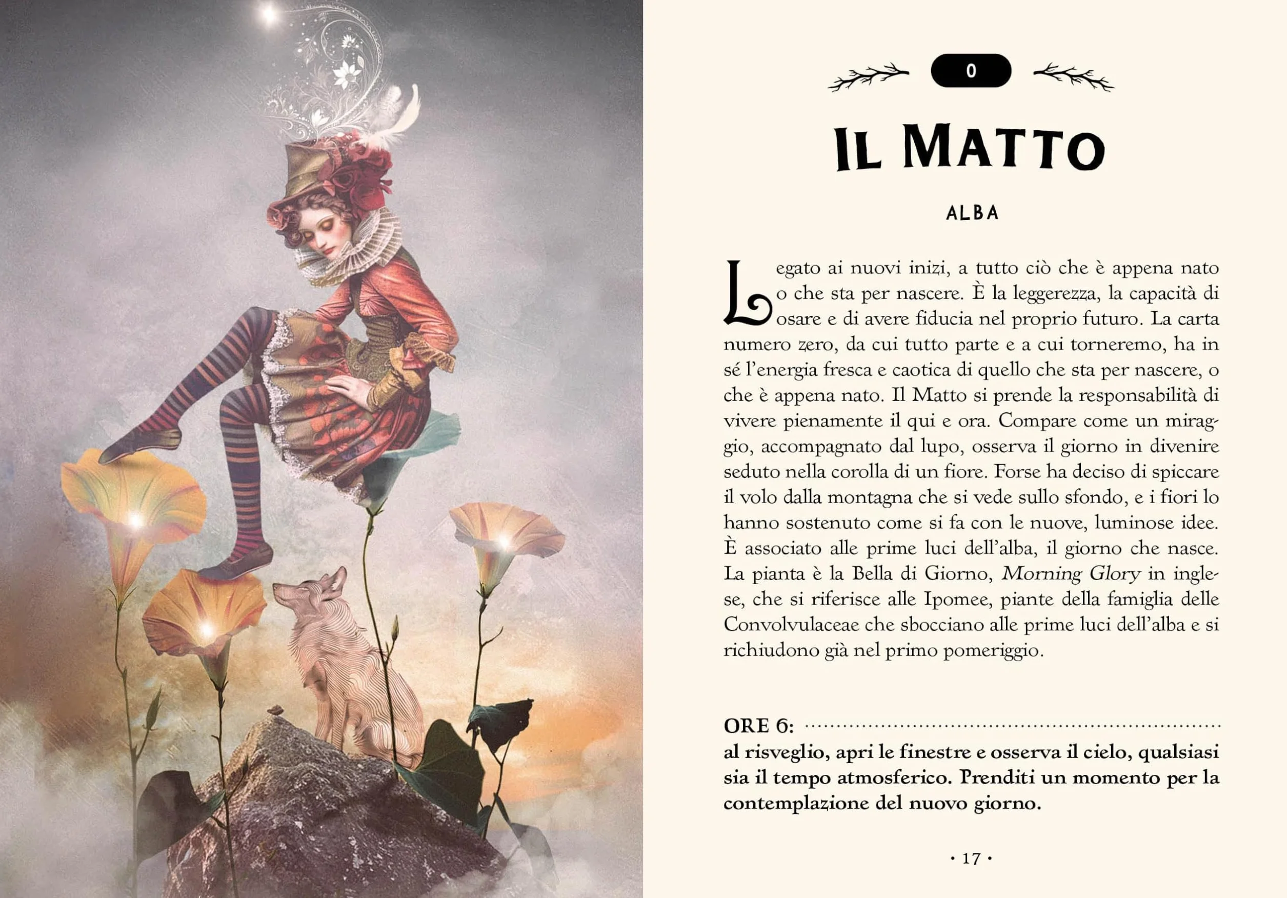 I tarocchi della foresta. Ediz. a colori. Con 78 Carte
